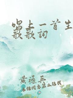 唱上一首生命的歌歌词