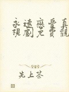 永远恋爱真美电视剧免费观看全集