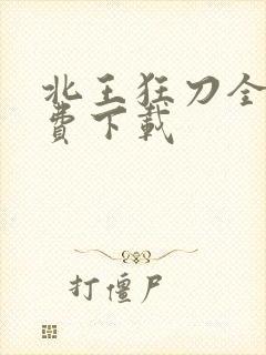 北王狂刀全本免费下载