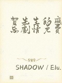 贺先生的恋恋不忘剧情免费观看