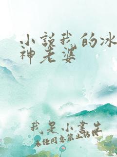 小说我的冰山女神老婆