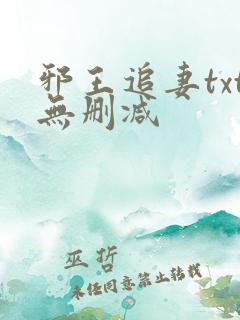 邪王追妻txt无删减