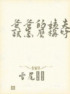 爸爸的姨夫我应该怎么称呼