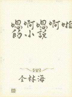 嗯啊嗯啊啪啪啪的小说