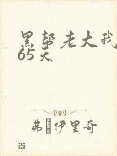 黑帮老大我的365天