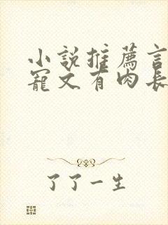 小说推荐言情甜宠文有肉长篇