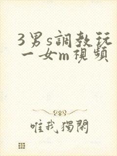 3男s调教玩弄一女m视频