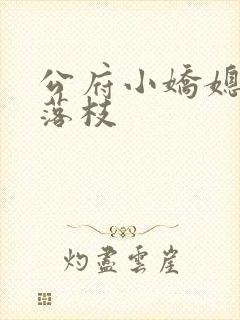 公府小娇媳明月落枝