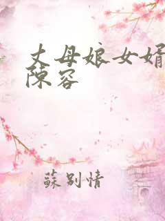 丈母娘女婿小说陈容