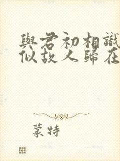 与君初相识·恰似故人归在线观看