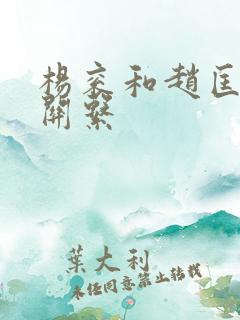 杨衮和赵匡胤的关系