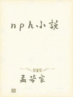 n p h小说