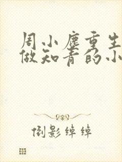 周小尘重生下乡做知青的小说