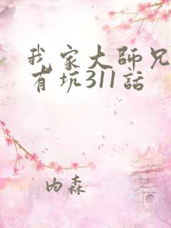 我家大师兄脑子有坑311话