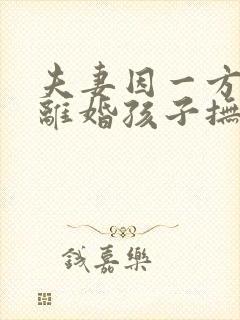 夫妻因一方出轨离婚孩子抚养权怎么判定