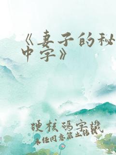 《妻子的秘密3中字》