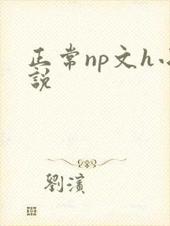 正常np文h小说