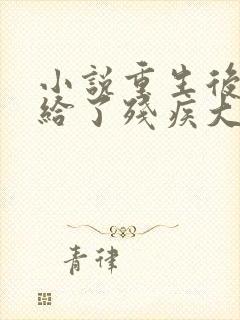 小说重生后我嫁给了残疾大佬