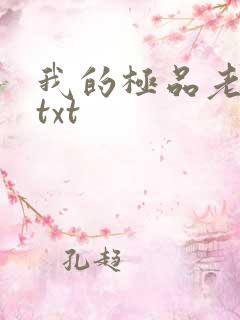 我的极品老婆 txt