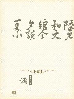 夏夕绾和陆寒霆小说全文免费阅读