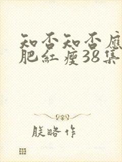 知否知否应是绿肥红瘦38集