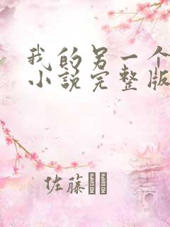 我的另一个老公小说完整版阅读全文