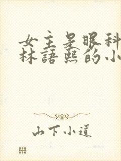 女主是眼科医生林语熙的小说