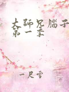 大师兄脑子有坑第一季