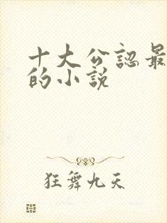 十大公认最好看的小说