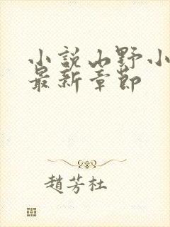 小说山野小傻医最新章节