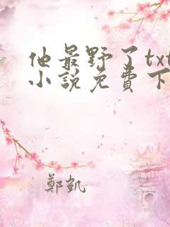 他最野了txt小说免费下载