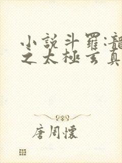 小说斗罗:龙王之太极玄真全本下载