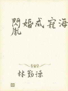 闪婚成宠海彤战胤