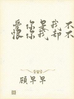 爱你是我不小心恨你我却不忍心是什么歌