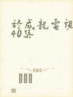 于成龙电视剧第40集