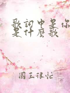 歌词中是你是你是什么歌