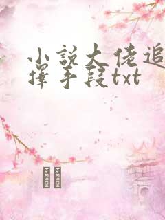 小说大佬追妻不择手段txt