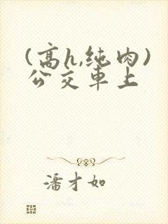 (高h,纯肉)公交车上