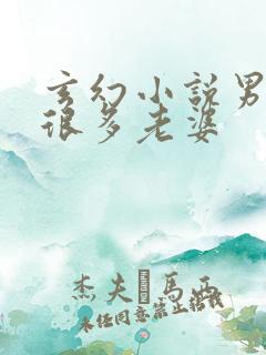 玄幻小说男主有很多老婆