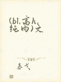 (bl,高h,纯肉)文