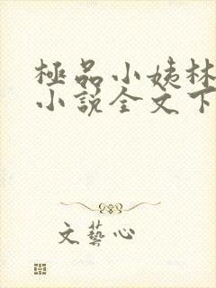 极品小姨林浩云小说全文下载