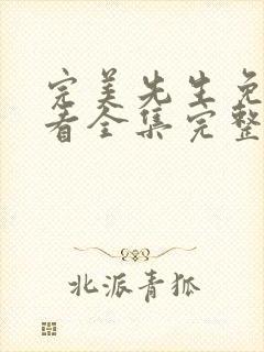 完美先生免费观看全集完整版高清