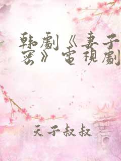 韩剧《妻子的秘密》电视剧全集