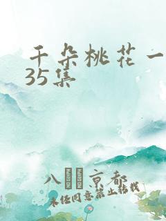千朵桃花一世开35集
