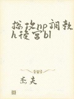 总攻np调教高h后宫bl