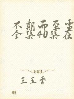 不期而至电视剧全集40集在线观看集