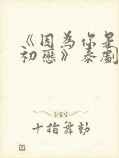 《因为你是我的初恋》泰剧在线观看