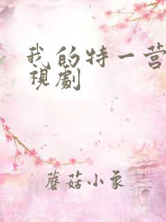 我的特一营 电视剧