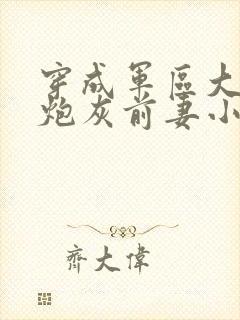 穿成军区大佬的炮灰前妻小说