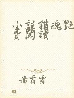 小说销魂艳婢免费阅读